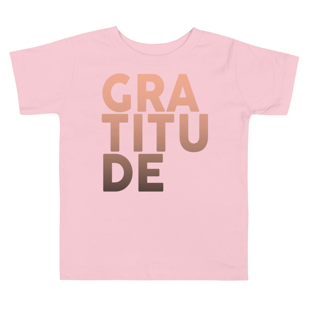 
                  
                    Load image into Gallery viewer, Ombre Gratitude Toddler Short Sleeve Tee
                  
                