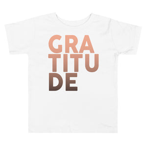 
                  
                    Load image into Gallery viewer, Ombre Gratitude Toddler Short Sleeve Tee
                  
                